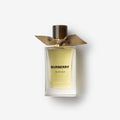 Burberry Signatures Extreme Botanicals Golden Haze Eau de Parfum by Burberry fragrance – view 1 | Venba Fragrance