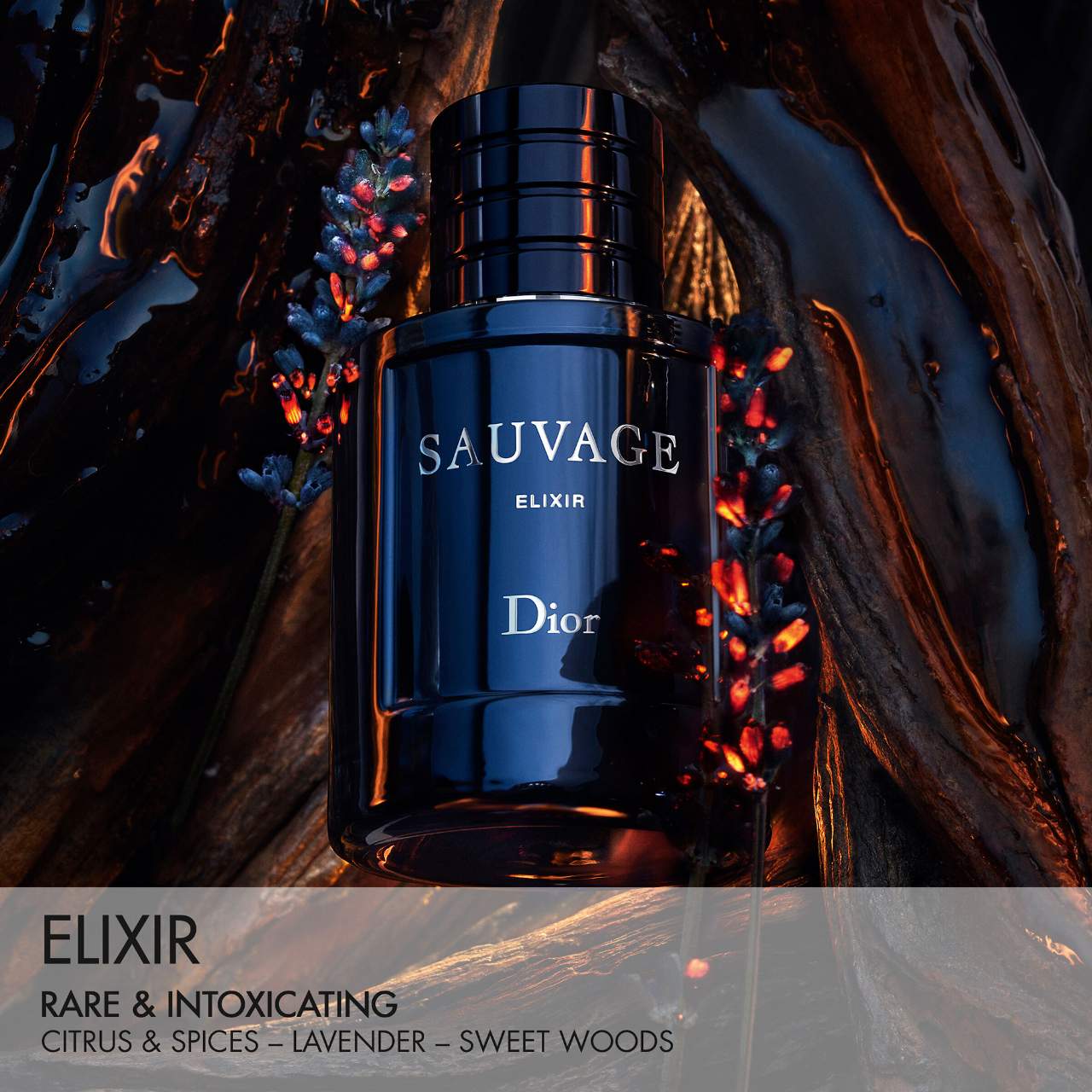 Dior Sauvage Elixir by Dior fragrance – view 2 | Venba Fragrance